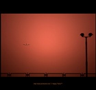 dailyPhoto37